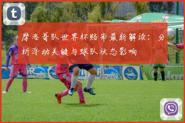 摩洛哥队世界杯赔率最新解读：分析浮动关键与球队状态影响