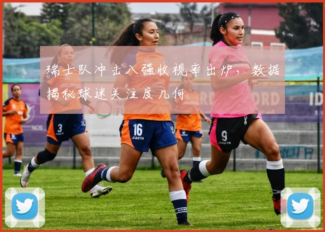 瑞士队冲击八强收视率出炉,数据揭秘球迷关注度几何